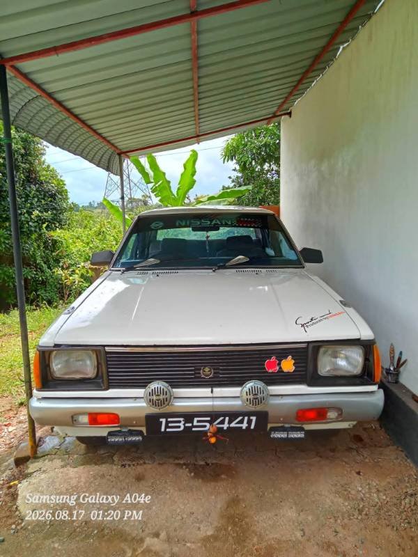 Nissan Sunny B310.