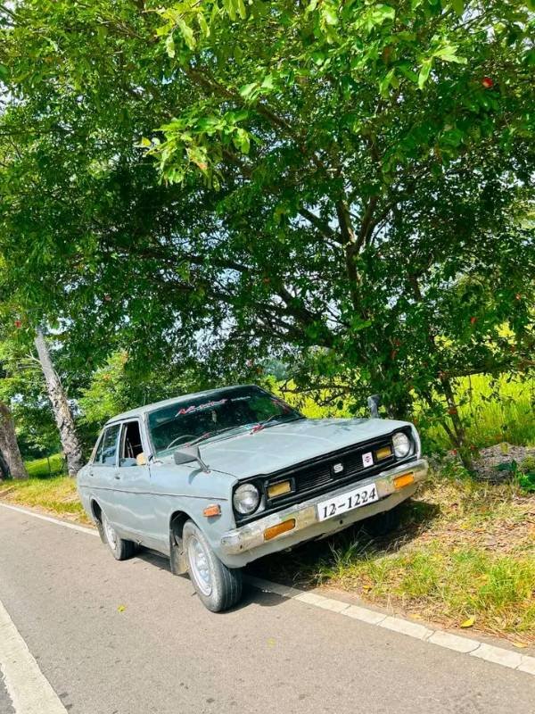 Nissan B310