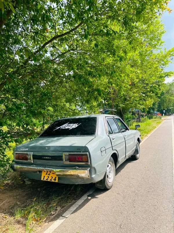 Nissan B310