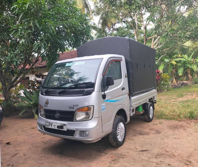 Dimo Batta for sale
