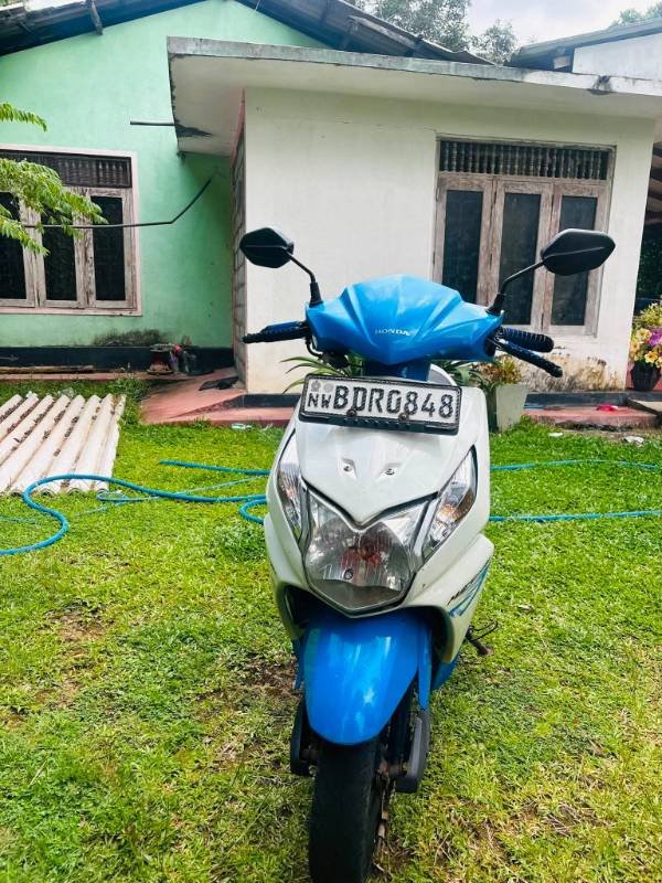 2019 Model