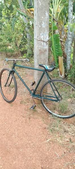 bicycles