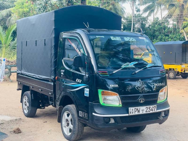 Dimo batta for sale
