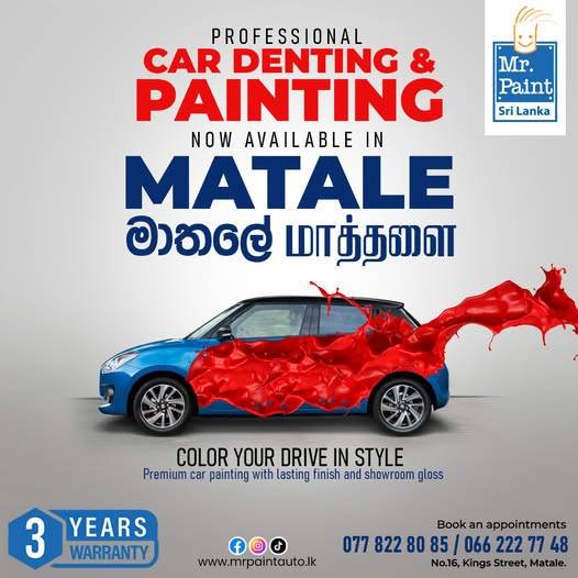 Your professional Auto Painter