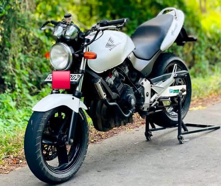 Hornet for sale