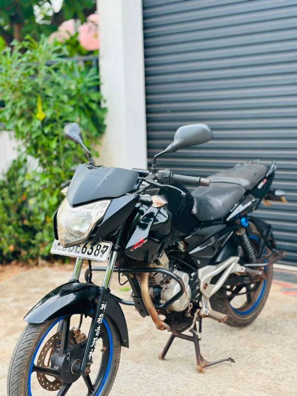 pulzer 135 ls BBE 2015