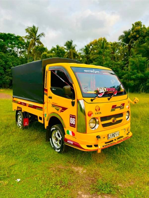 Dimo batta for sale