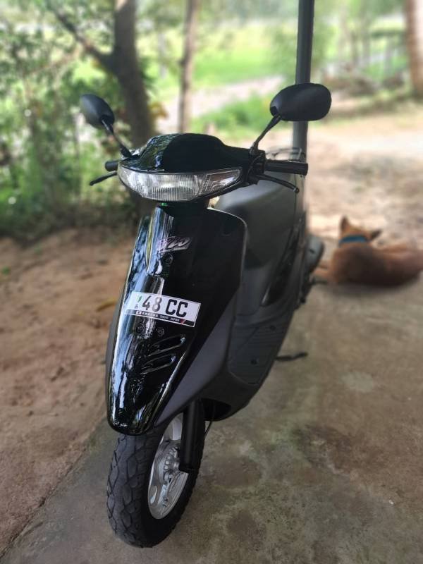 48 cc