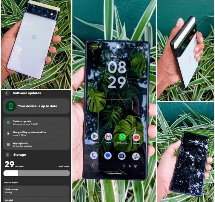 Google pixel 6