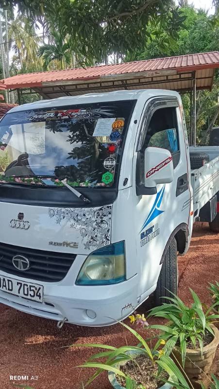 Dimo Lokka for sale