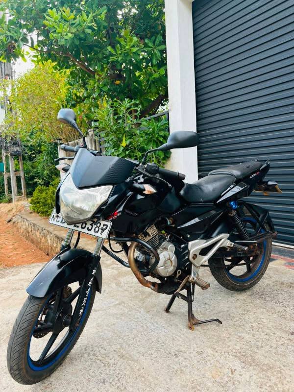 pulzer 135 ls (BBE) 2015
