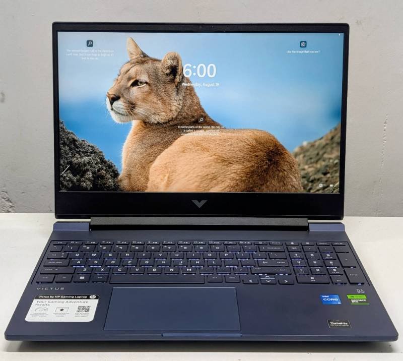 HP VICTUS (15-fa0031dx)