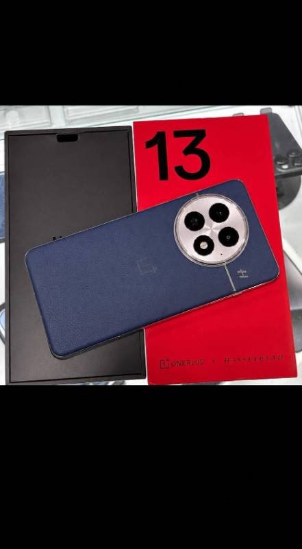 OnePlus 13